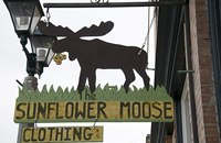 sunflower-moose