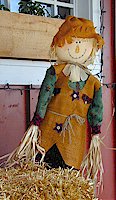 Rag Doll, Virginia City, Montana