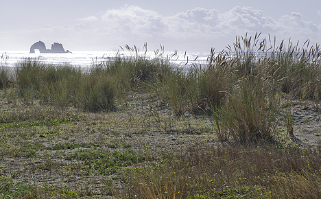 Rockaway-Beach