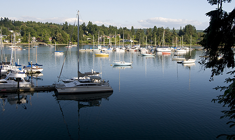 Vashon Island, Washington