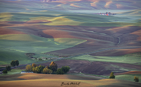The beautiful rolling hills of the Palouse.