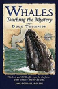 Whales-Touching-the-Mystery