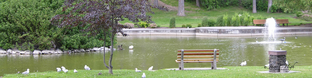 The duck pond at Manito Park