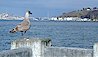 West Seattle viewpoints, Alki Beach Park