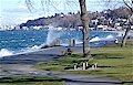 Seattle Viewpoints: Alki Beach Park