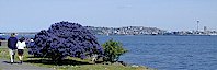 Seattle viewpoints - Don Armeni Boat Ramp